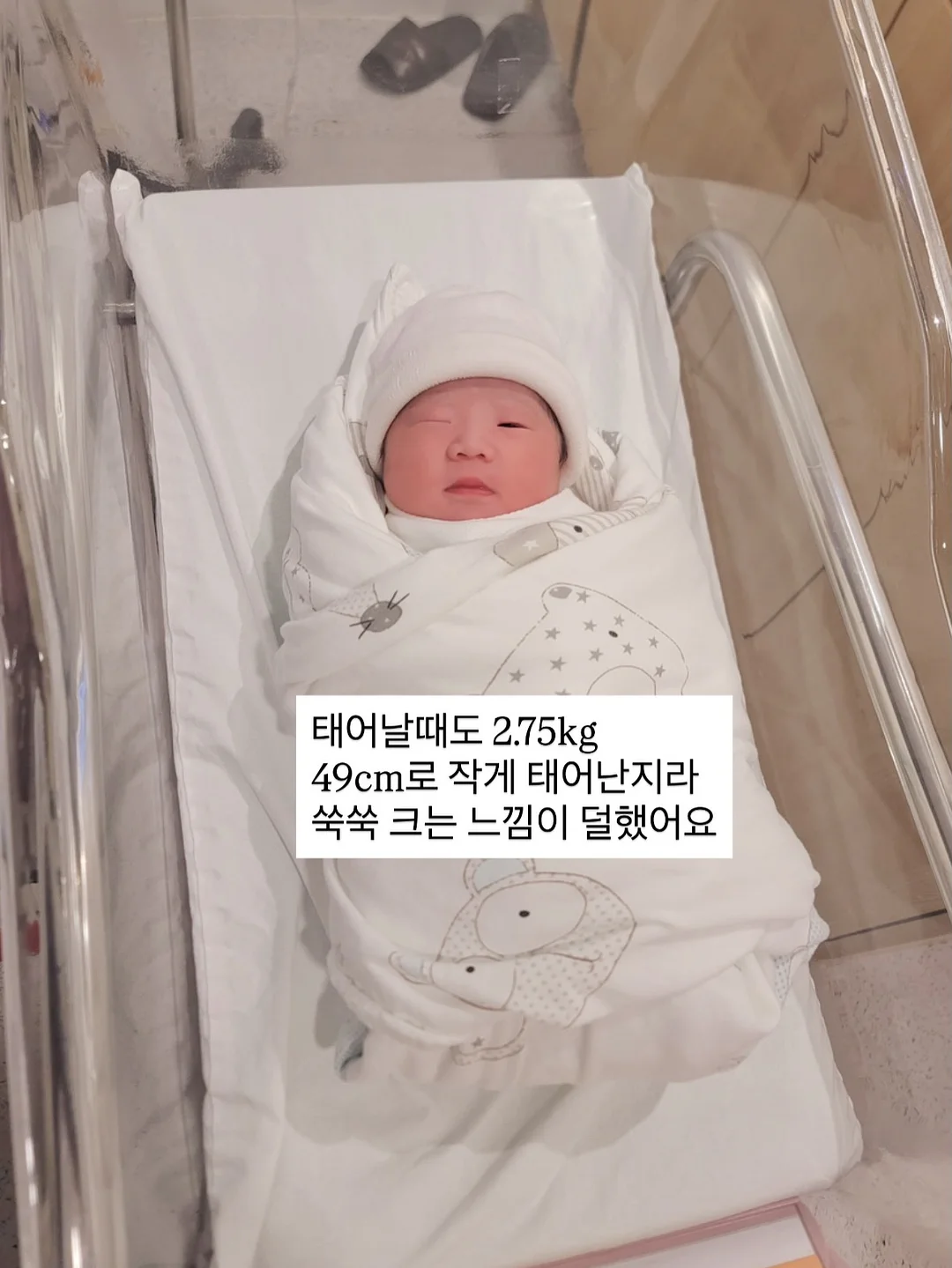 버치트리 워터겔 마스크팩 4