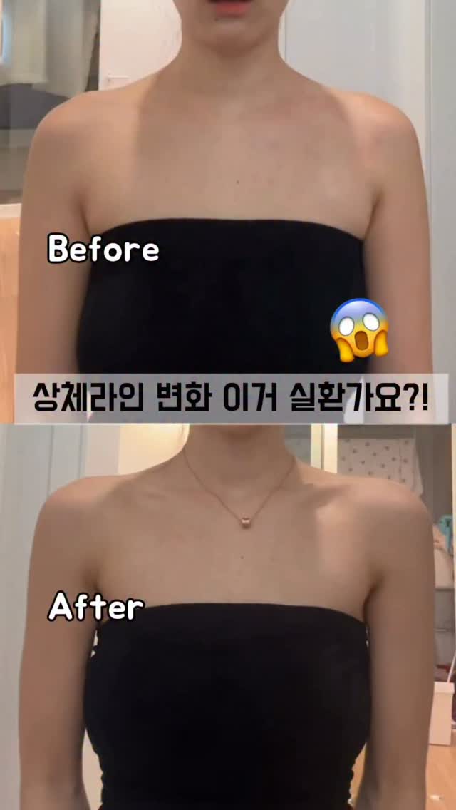 리프칩