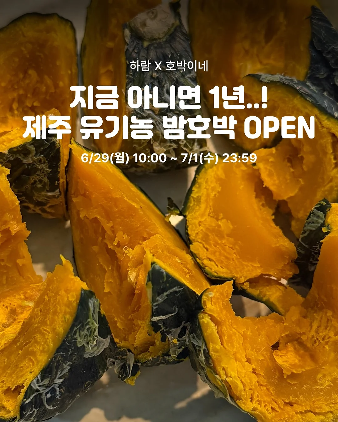 시즌스올리브절임 1