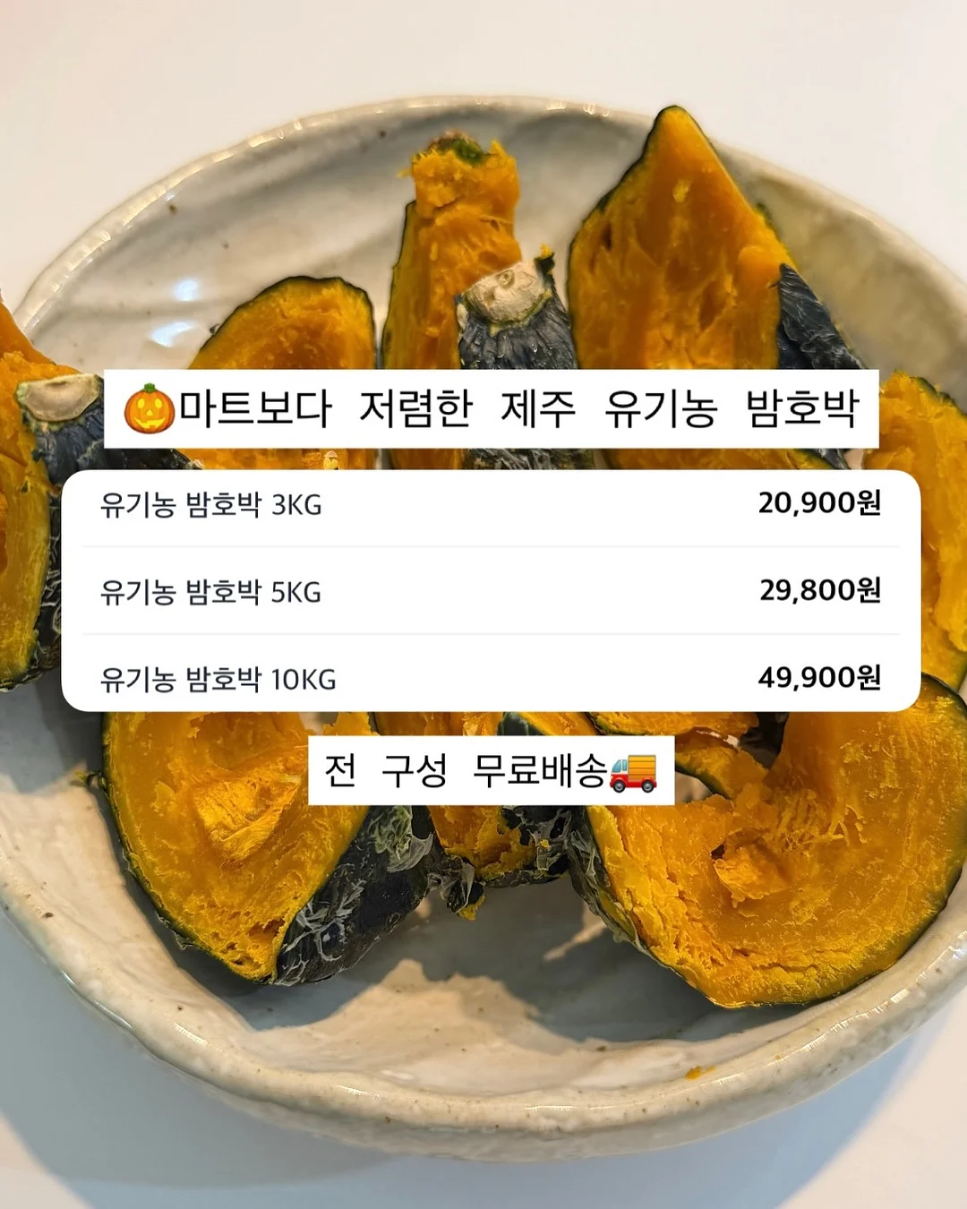 시즌스올리브절임 11