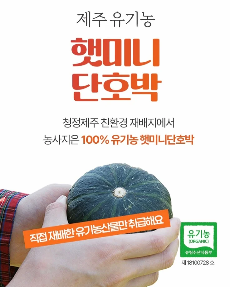 시즌스올리브절임 4