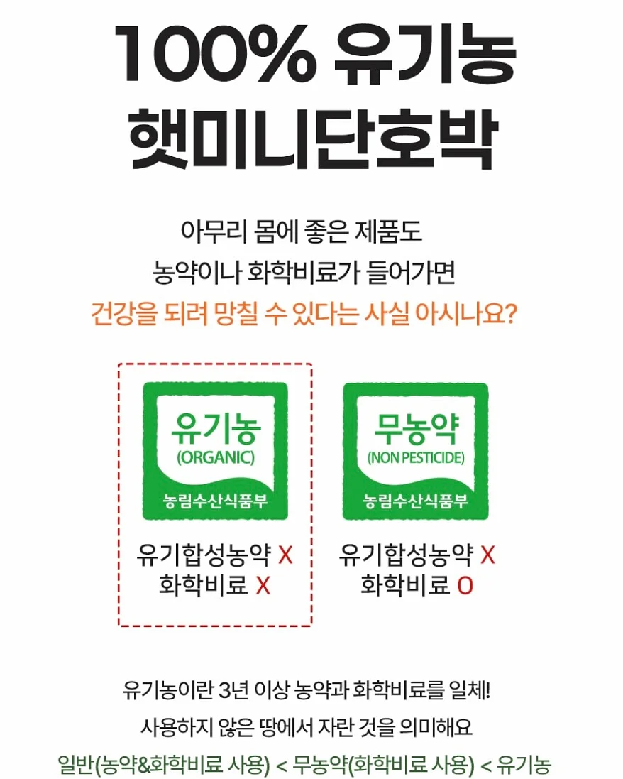 시즌스올리브절임 6