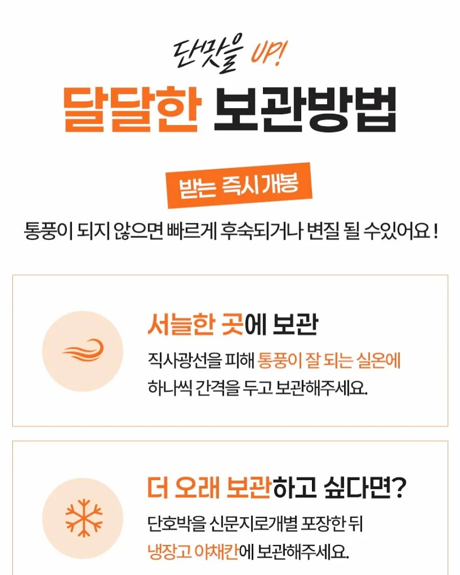 시즌스올리브절임 8