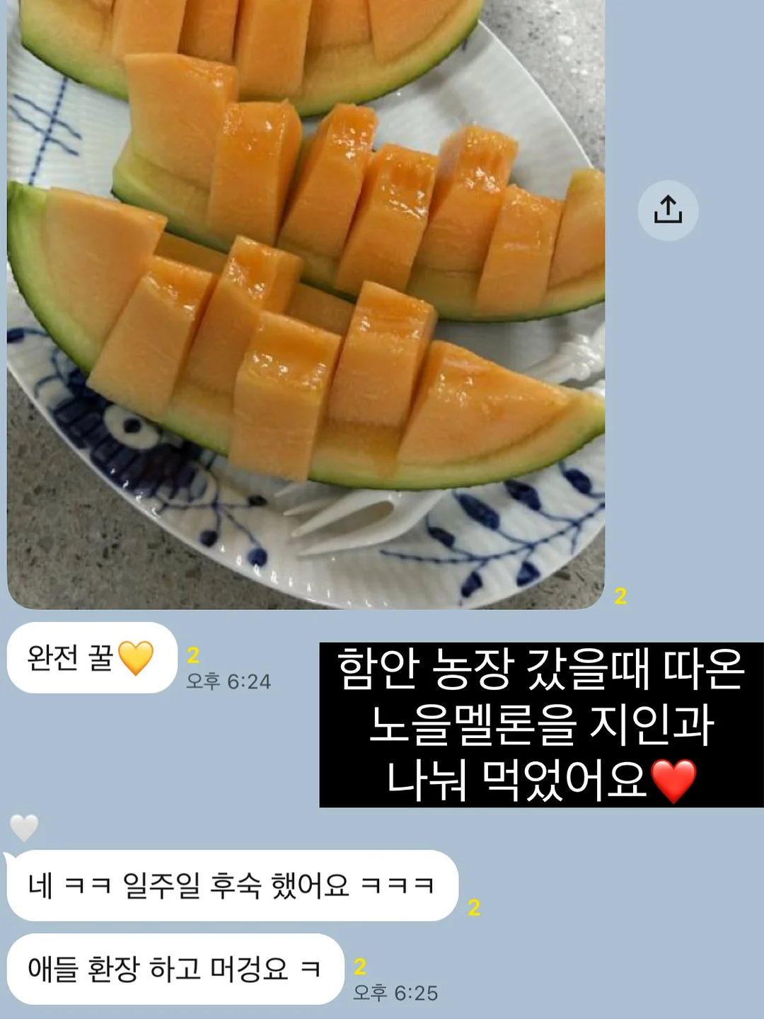 슈파토 우산 3