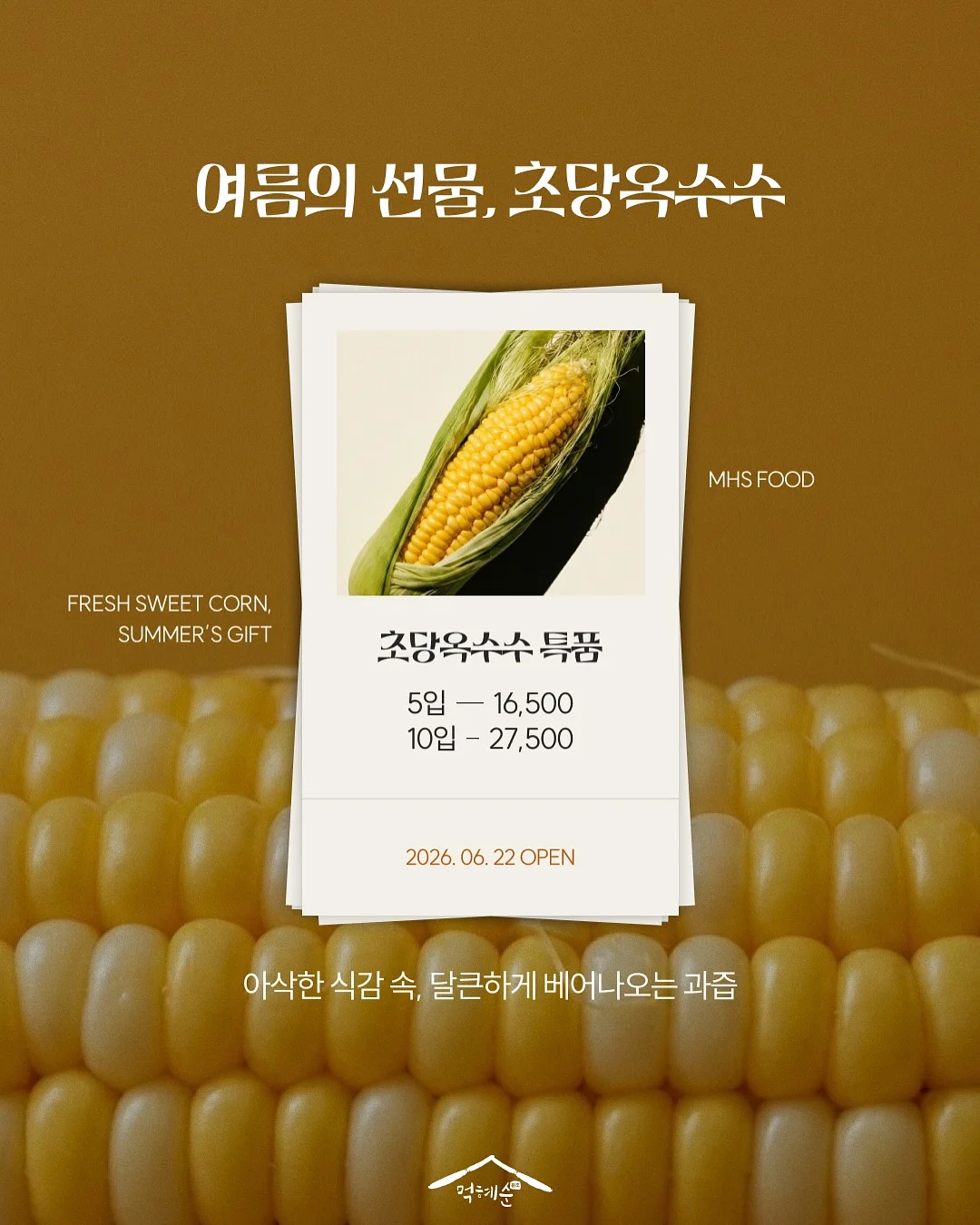 일락핏스테이 자세교정 방석 2
