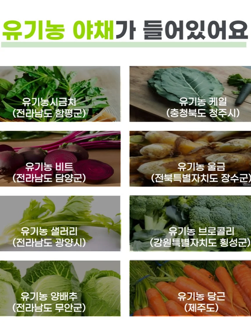 강아지 옷 10
