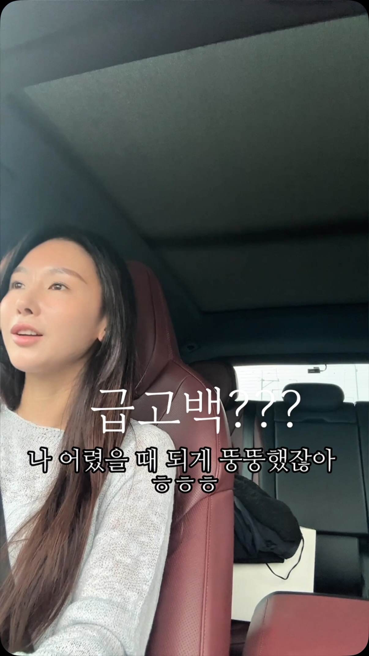 카네이션 꽃풍선 화분형