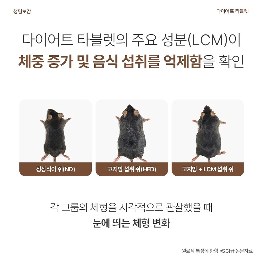 래쉬애딕트 속눈썹 영양제 14