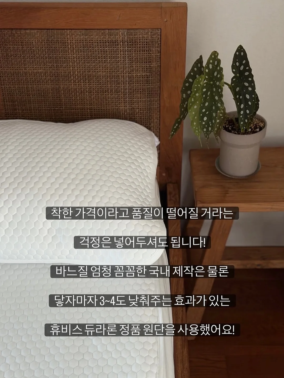 세탁조 클리너 5