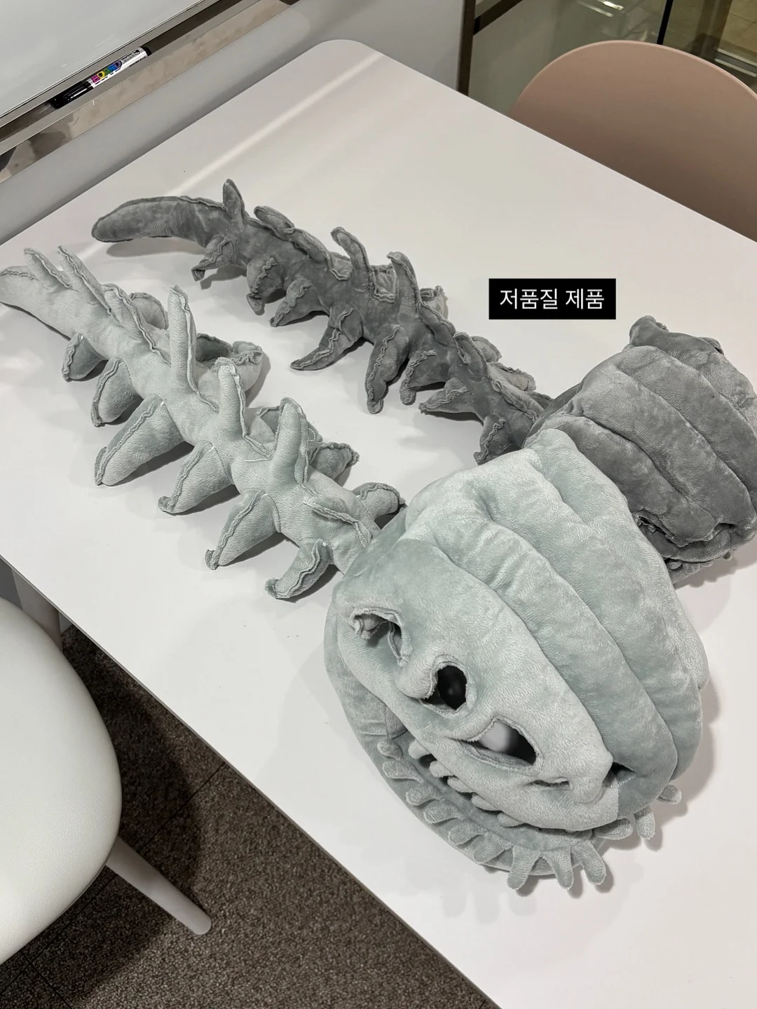 카메오 비기너 클래스