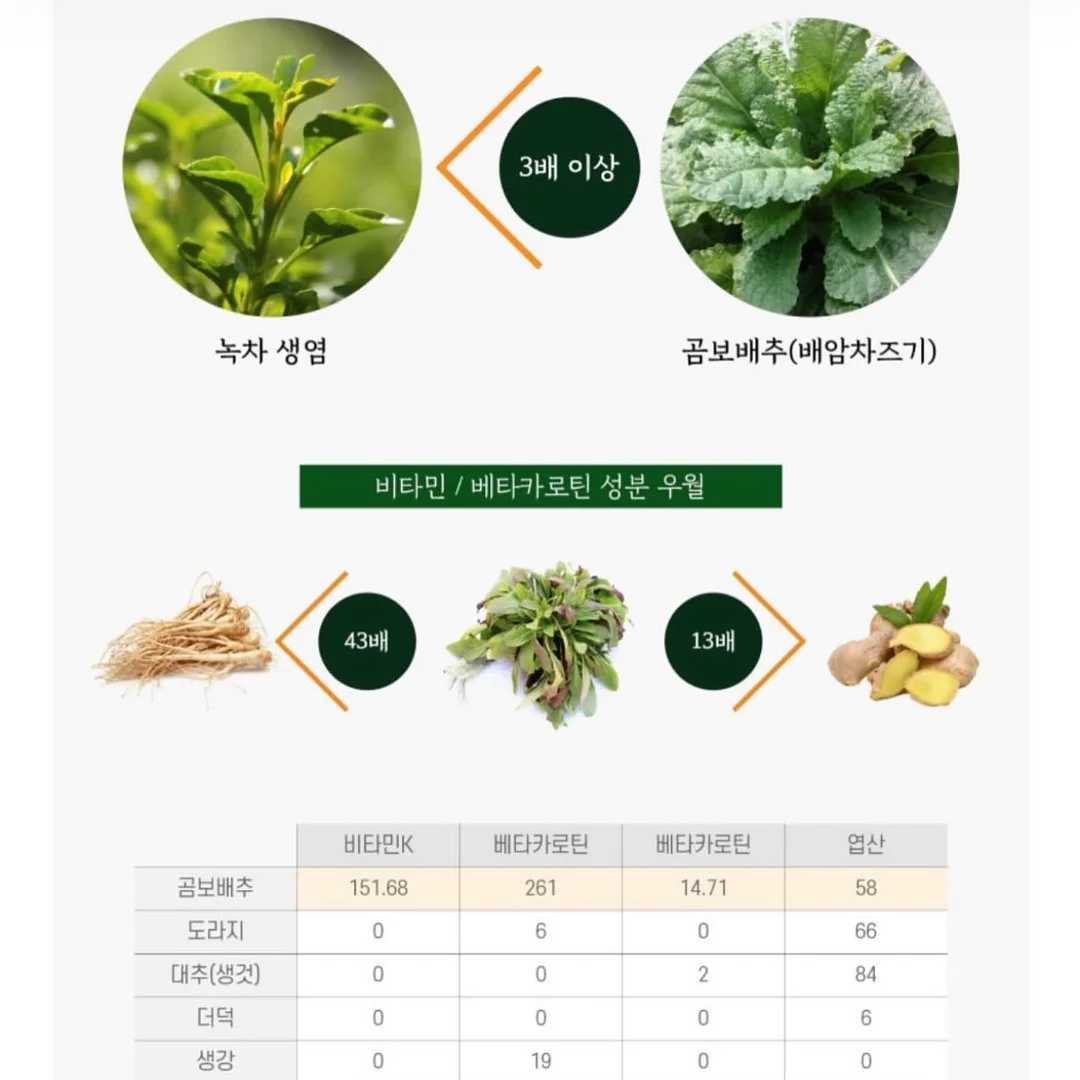 분크 모터 크로스백 4