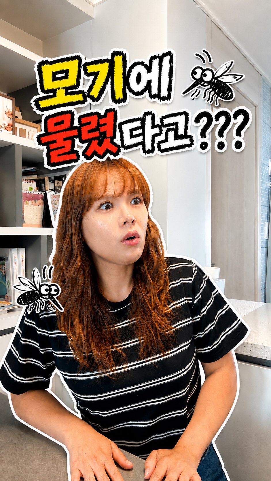 말티슈