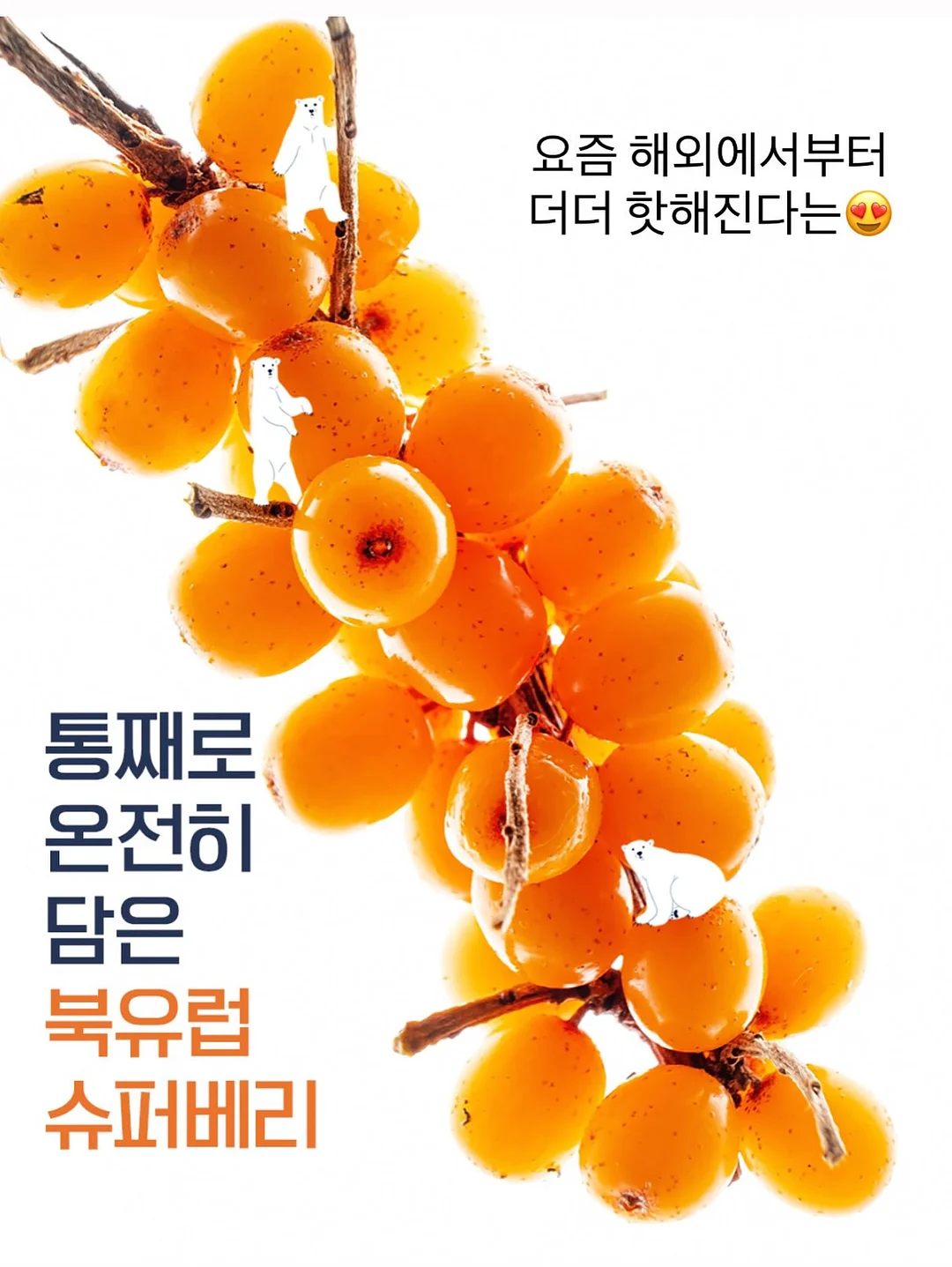 솔솔세트 3