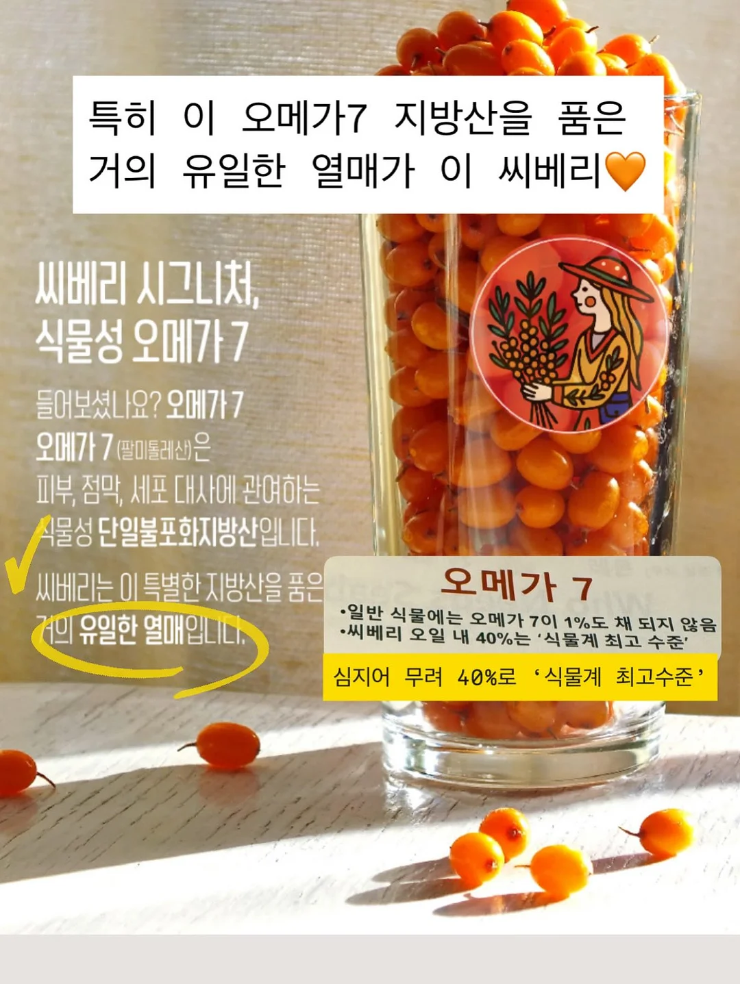 솔솔세트 10