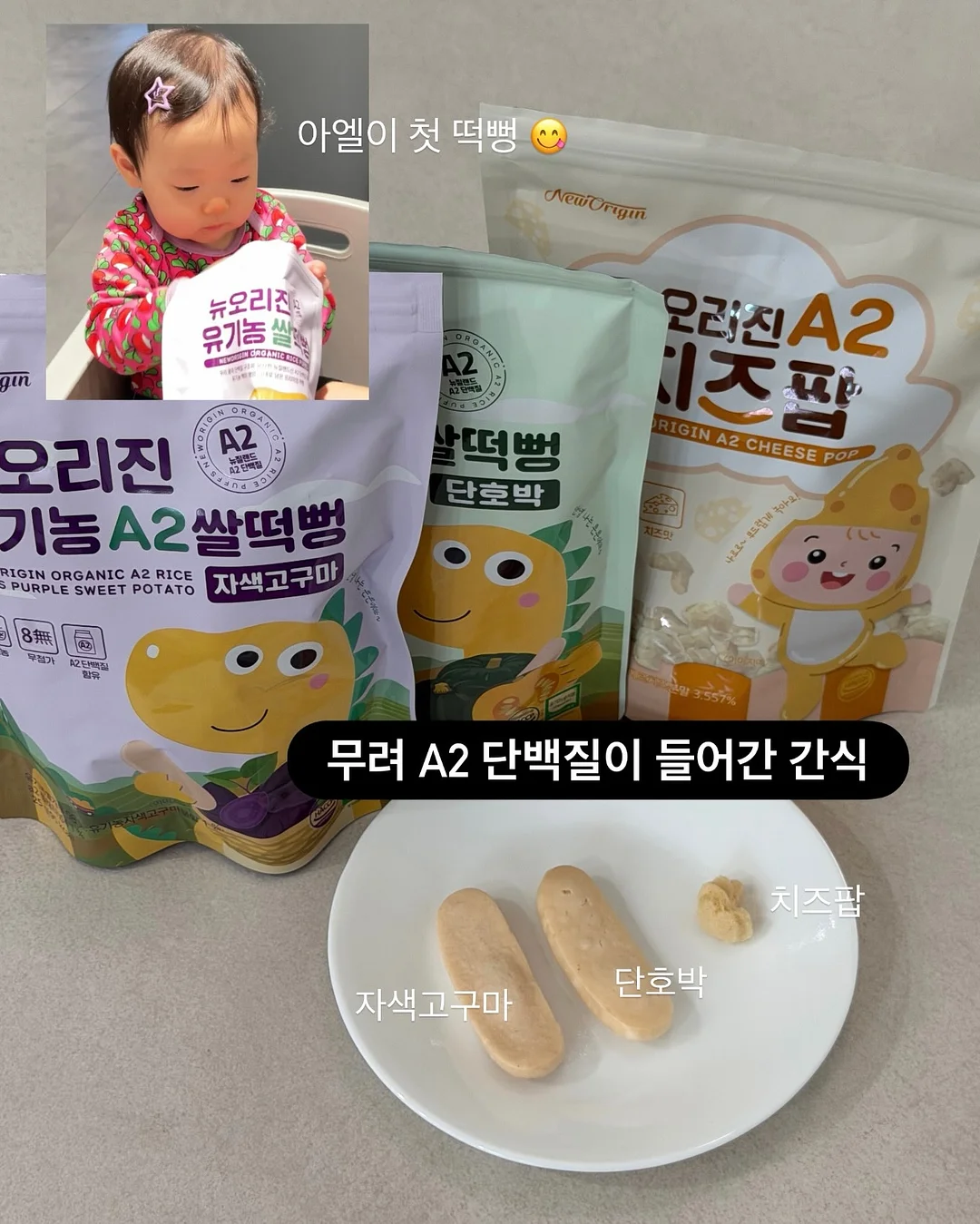 찌니핏 기획홍보세트 11