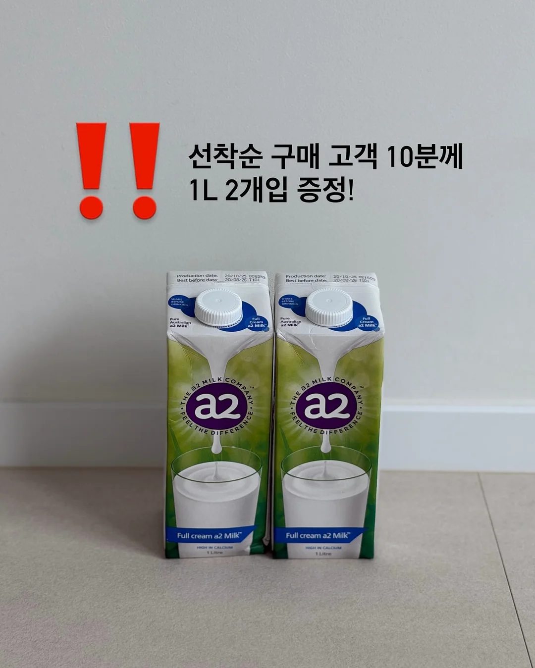 찌니핏 기획홍보세트 2