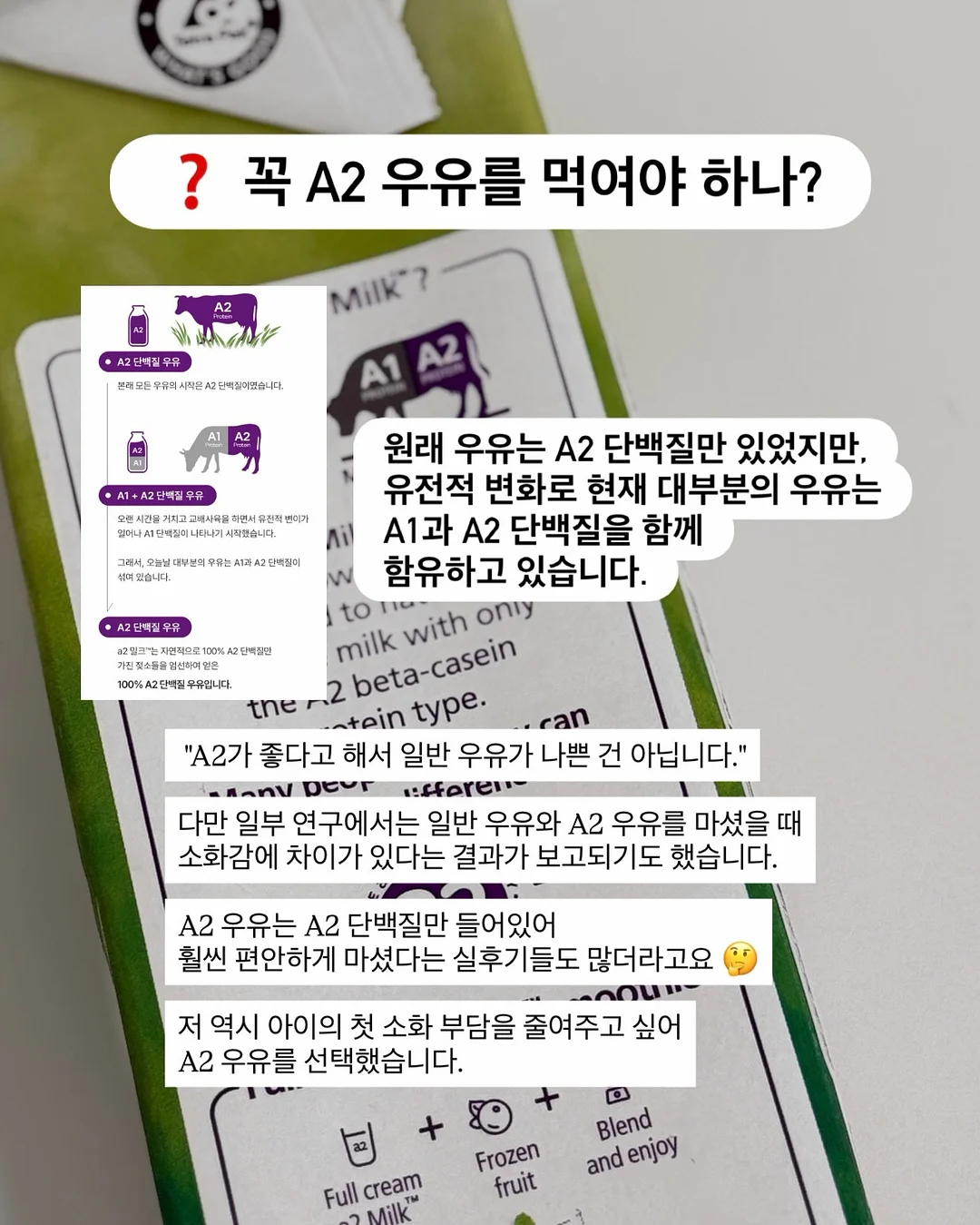 찌니핏 기획홍보세트 4