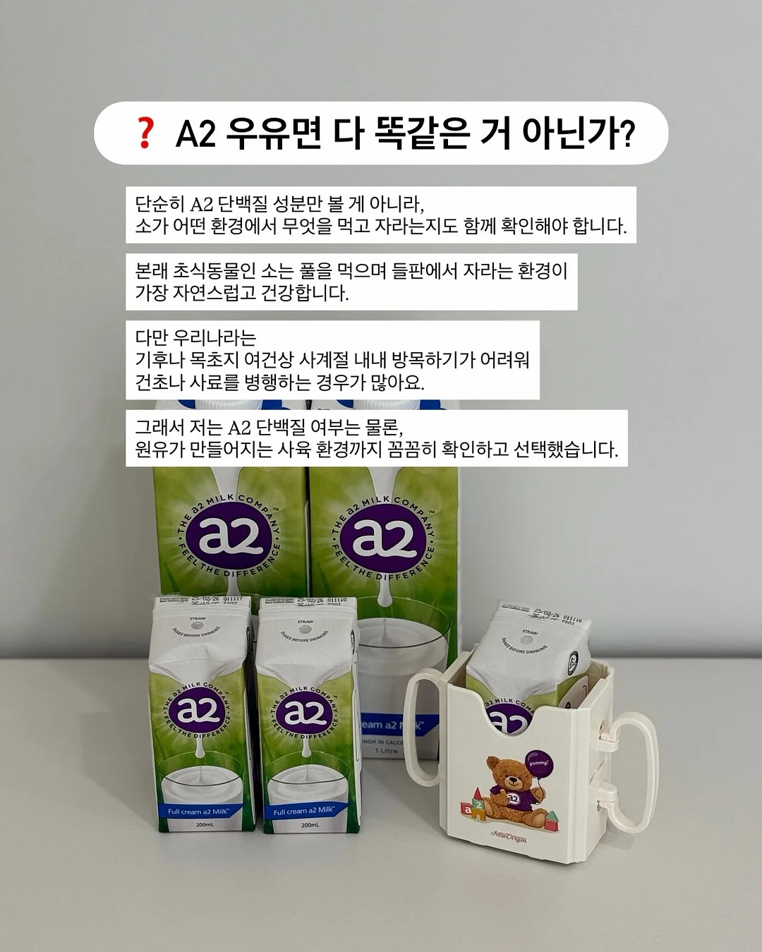 찌니핏 기획홍보세트 5