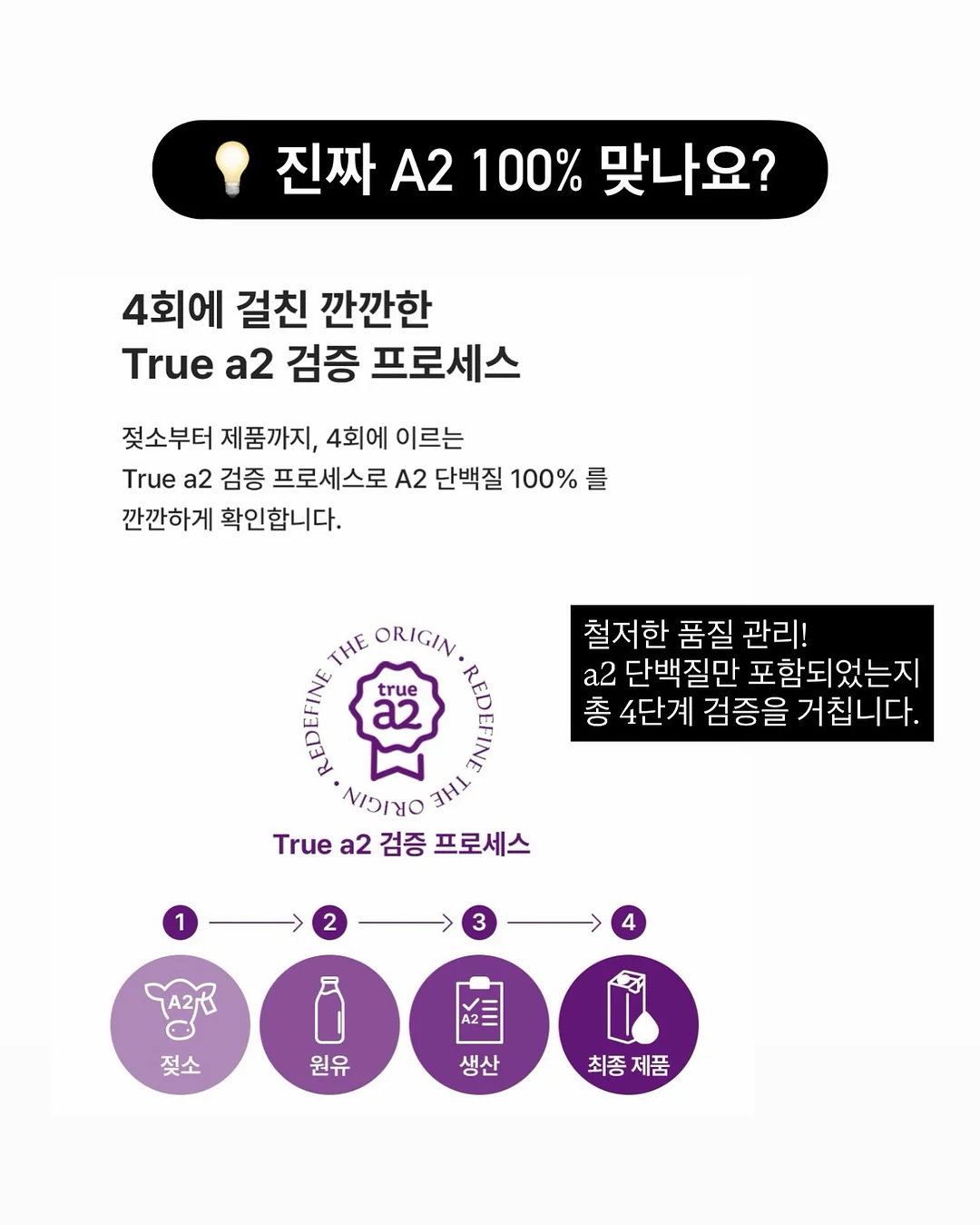 찌니핏 기획홍보세트 8