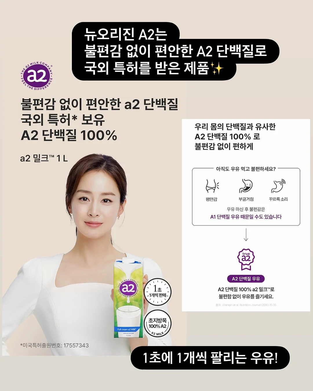 찌니핏 기획홍보세트 9