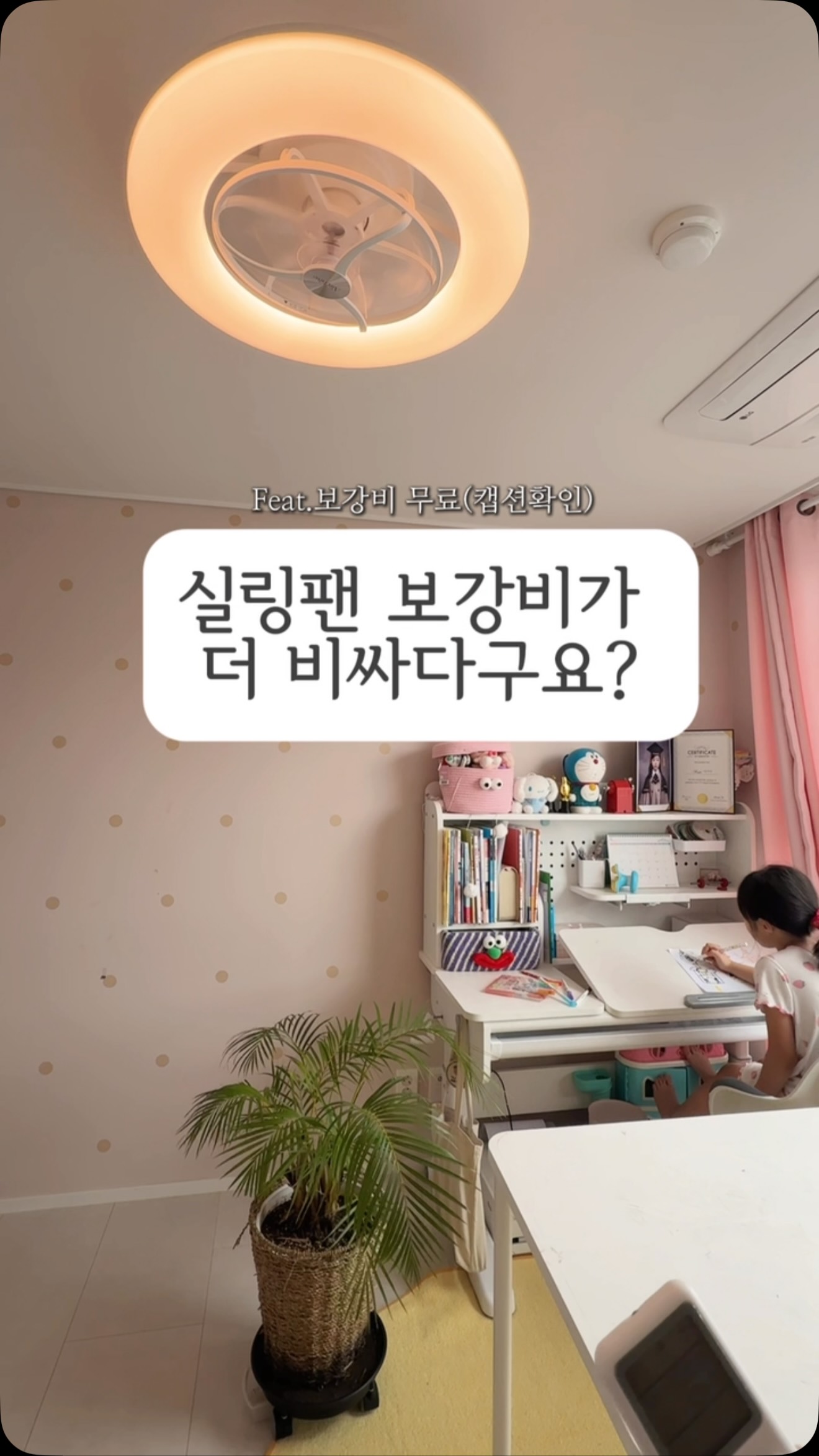 테리 셋업