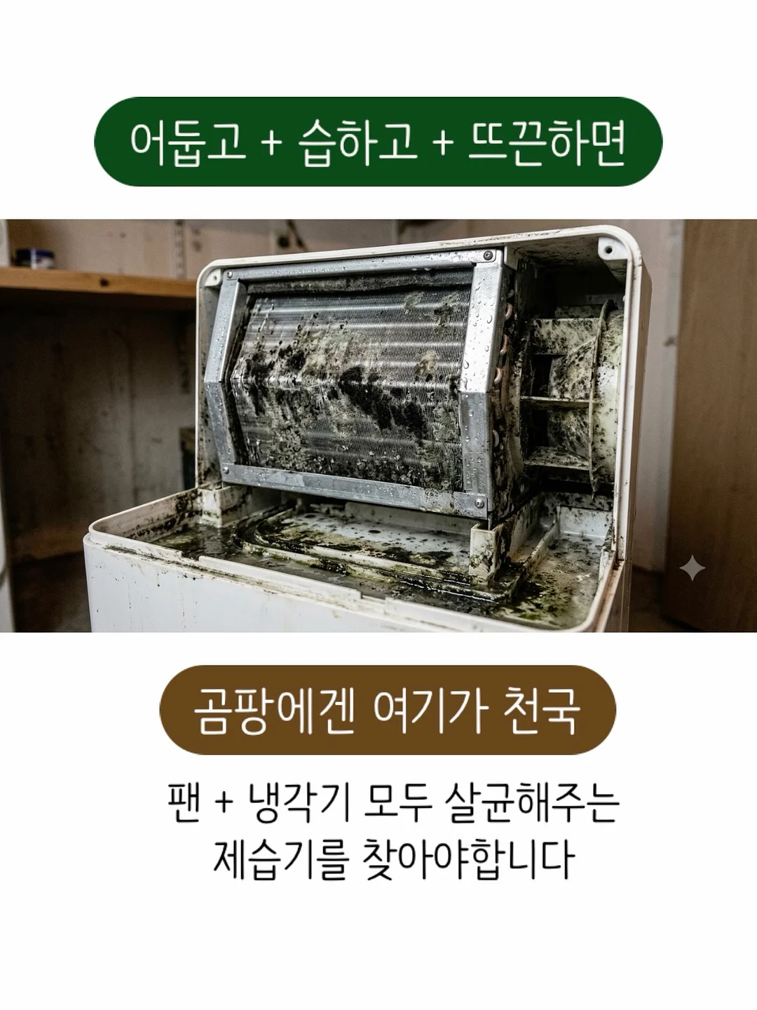 ou.ro 여름 의류 3