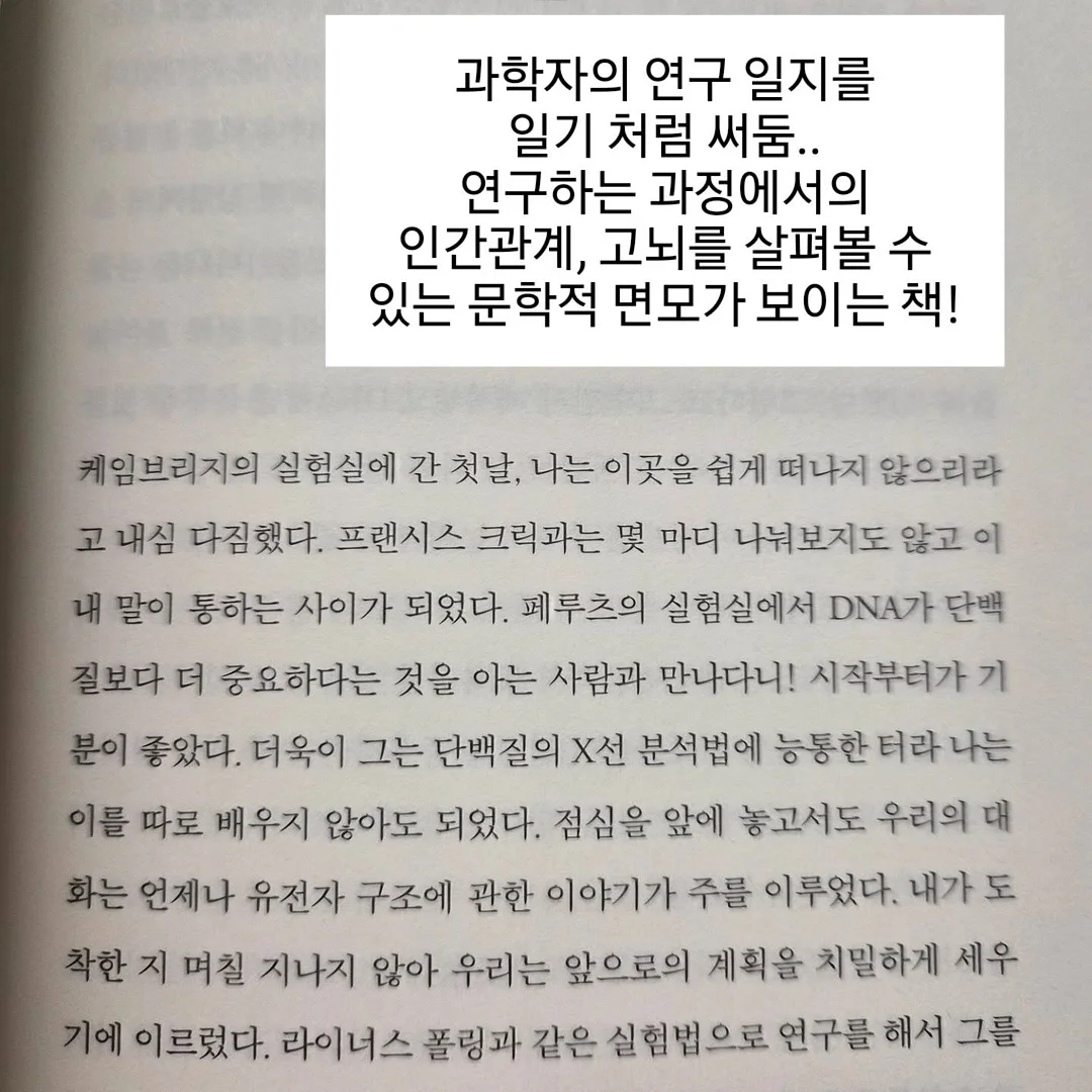 테팔 프레쉬키친 도마 2