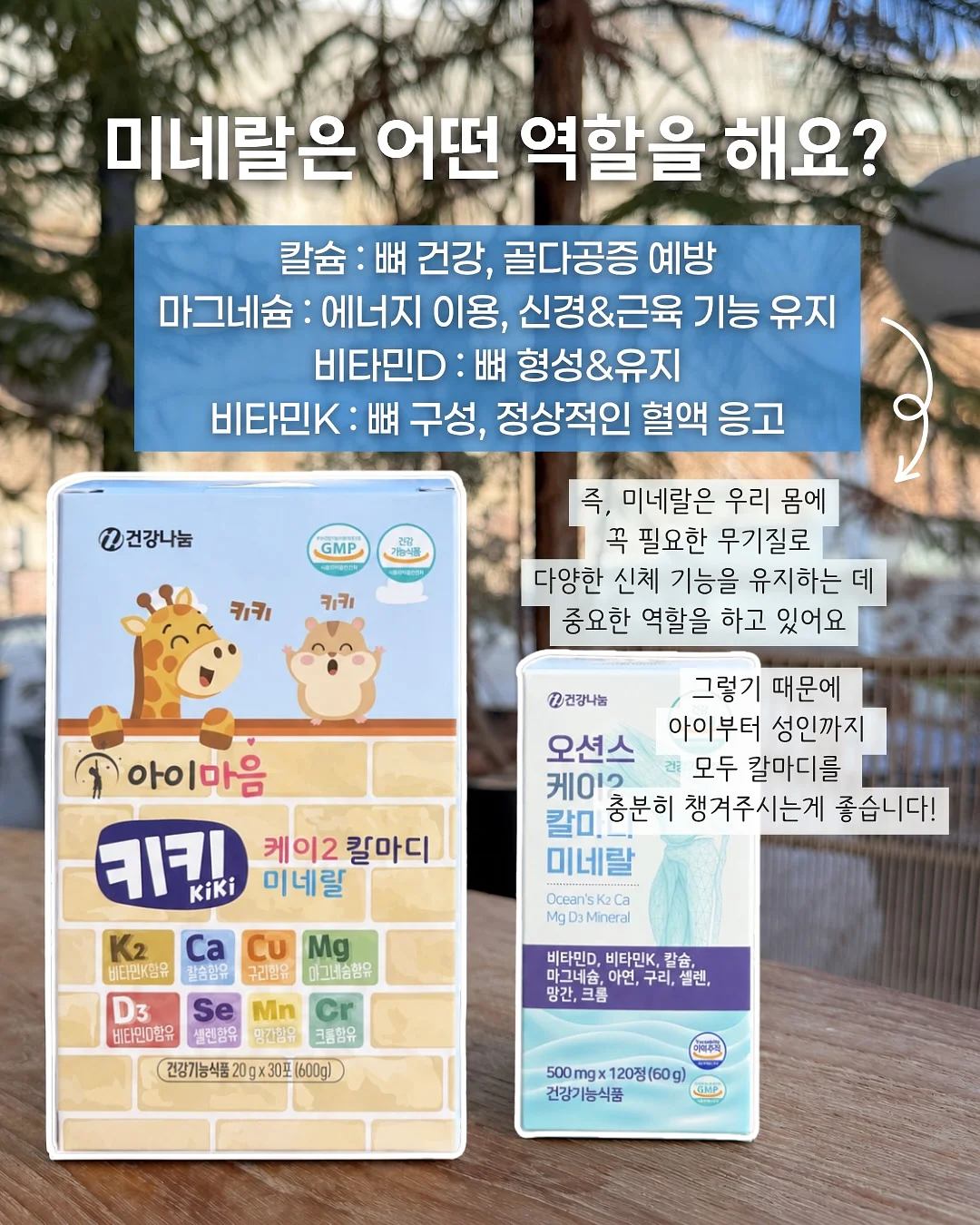 저당 케이크 2