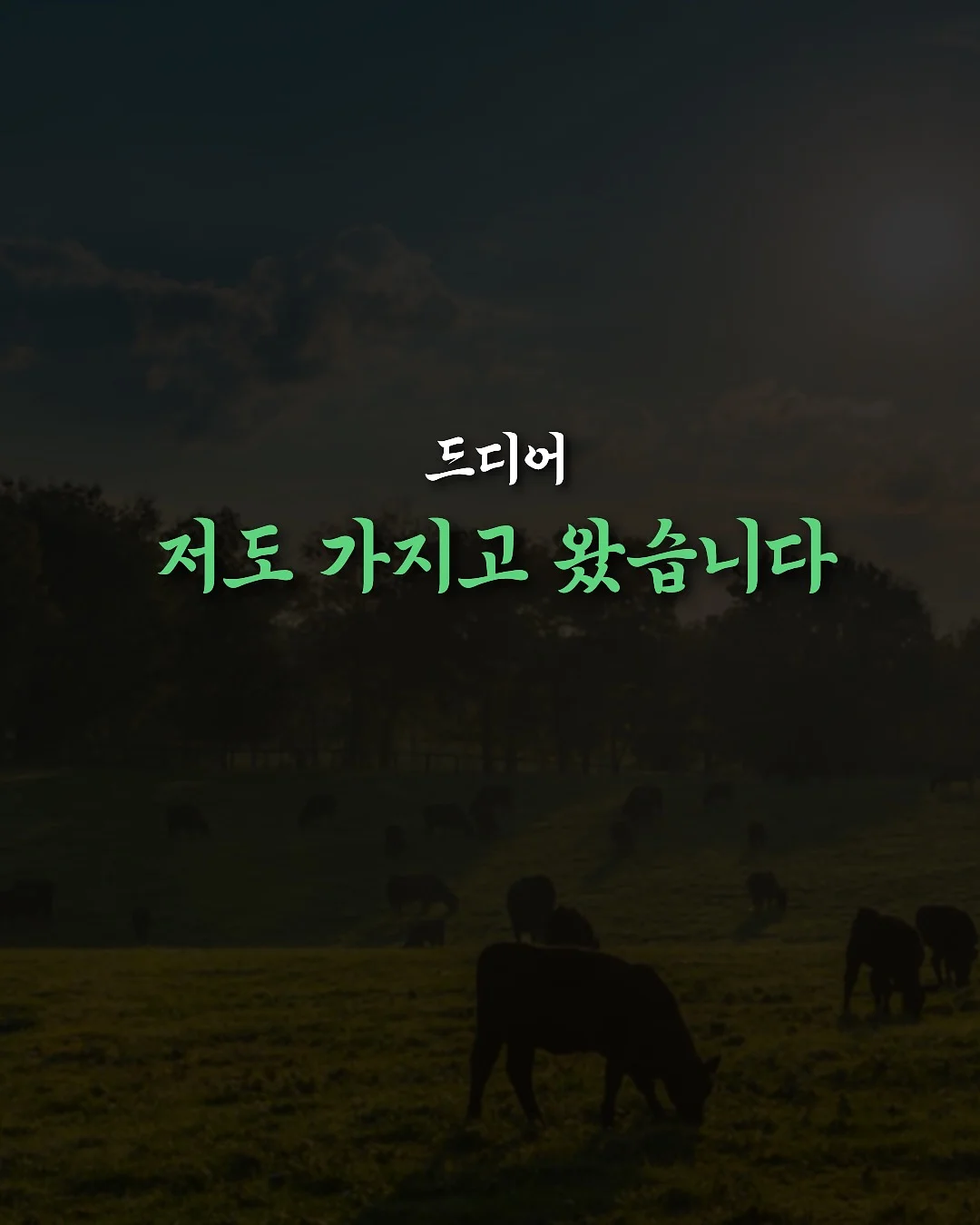 홈트 찐템 1