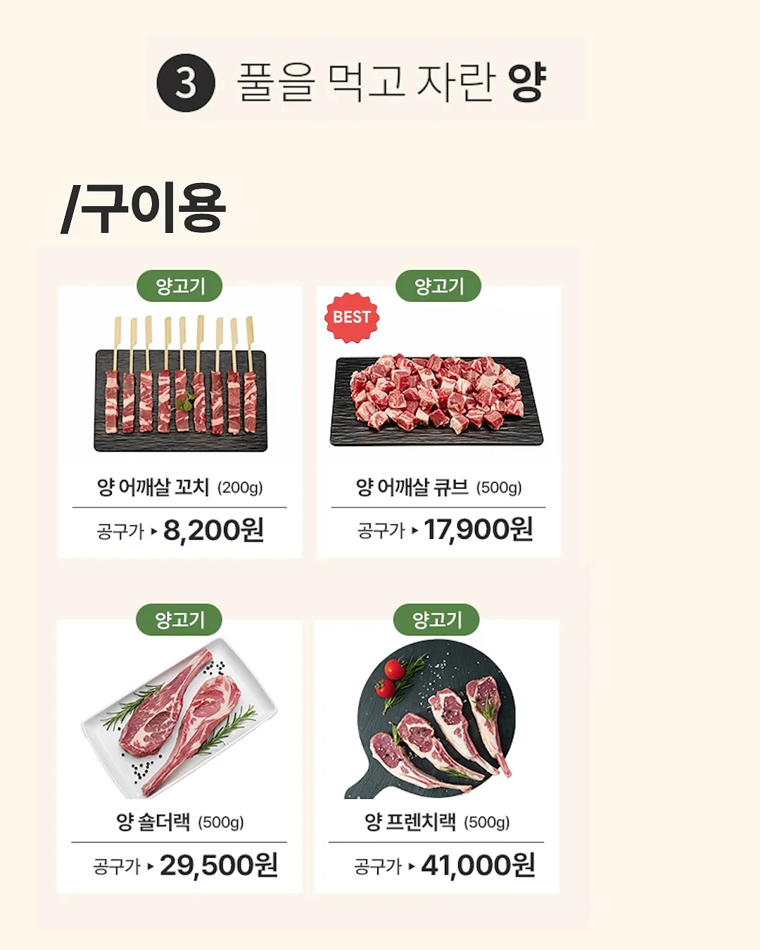 홈트 찐템 12