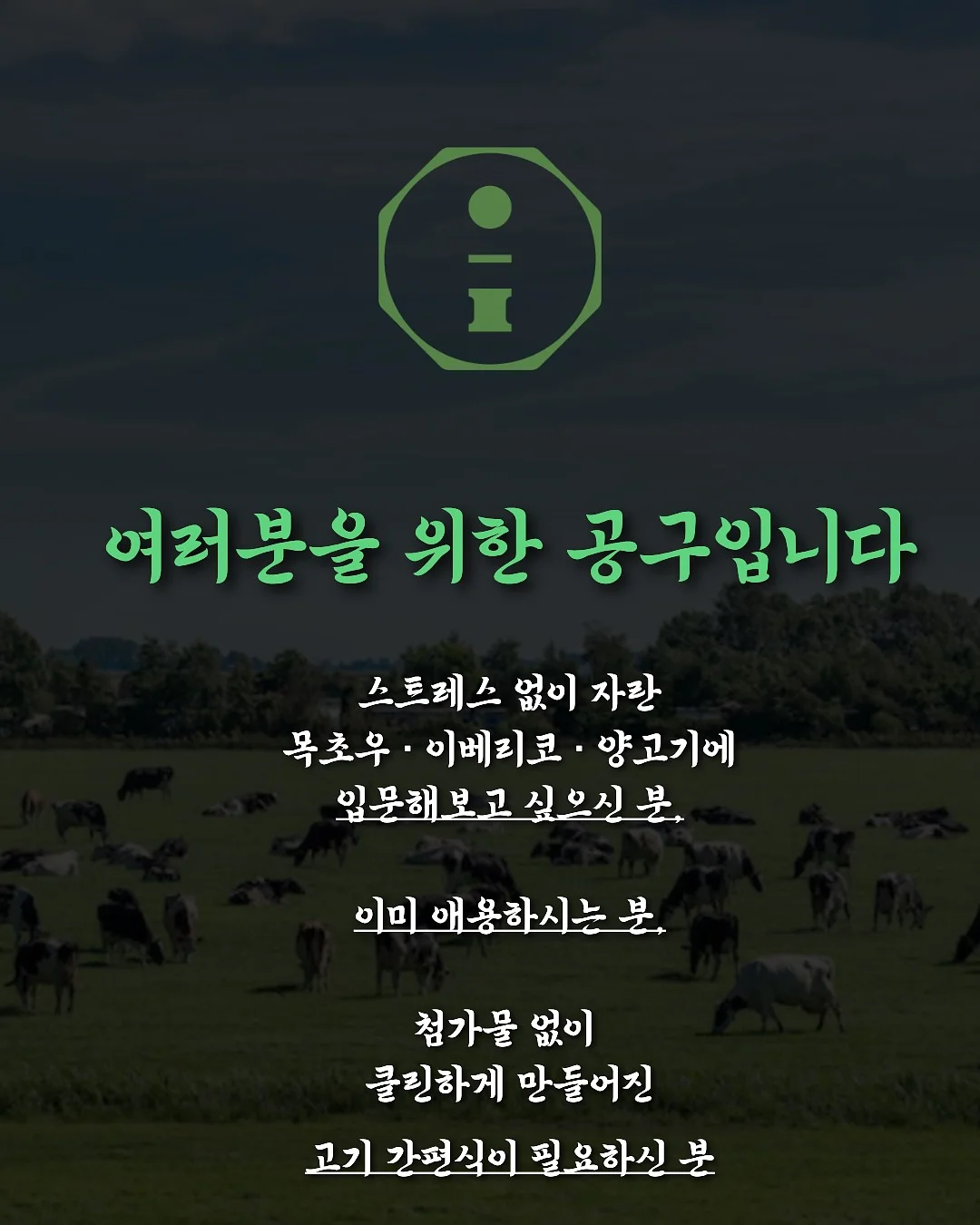 홈트 찐템 3