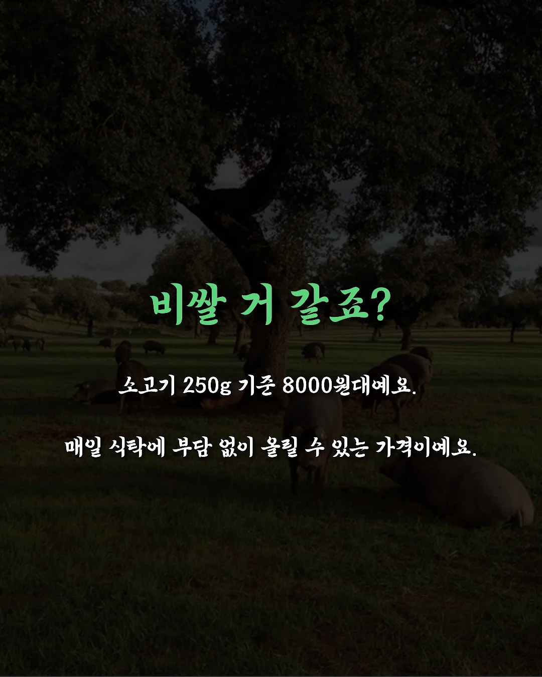 홈트 찐템 4