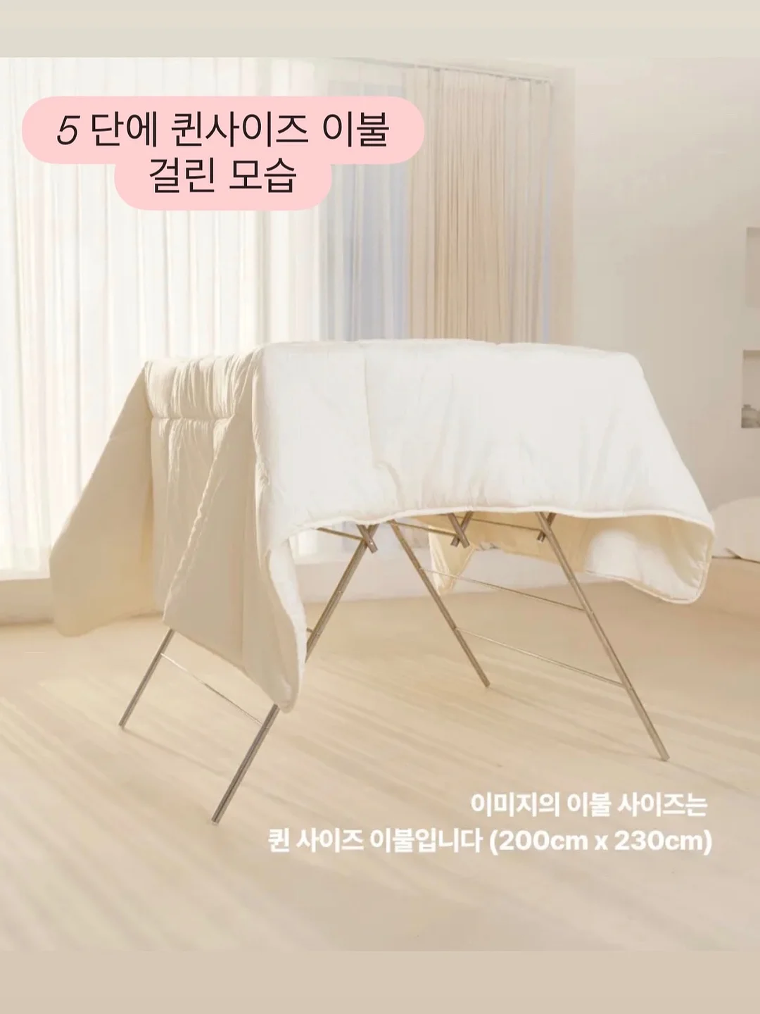 로시니스퀴시 도안 19