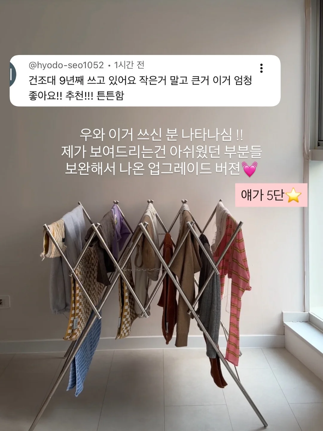 로시니스퀴시 도안 10