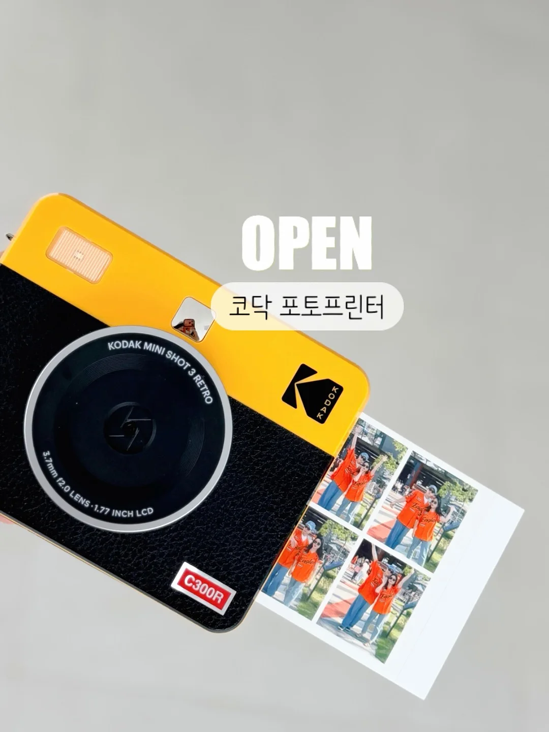 책바구니 1