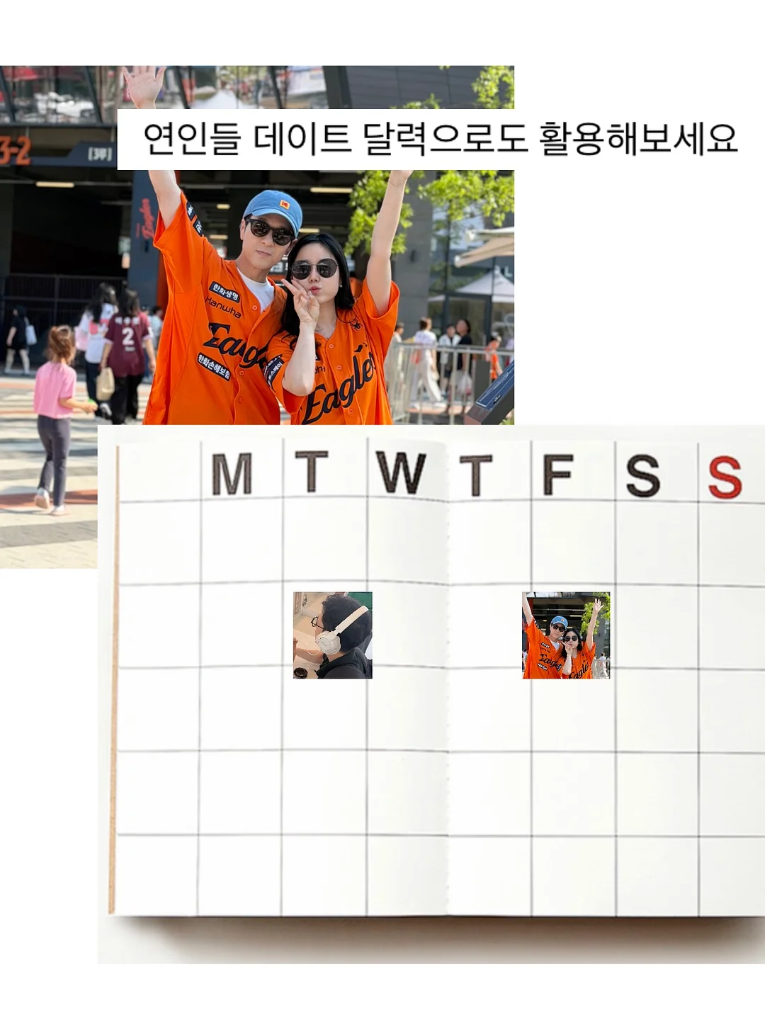 책바구니 14