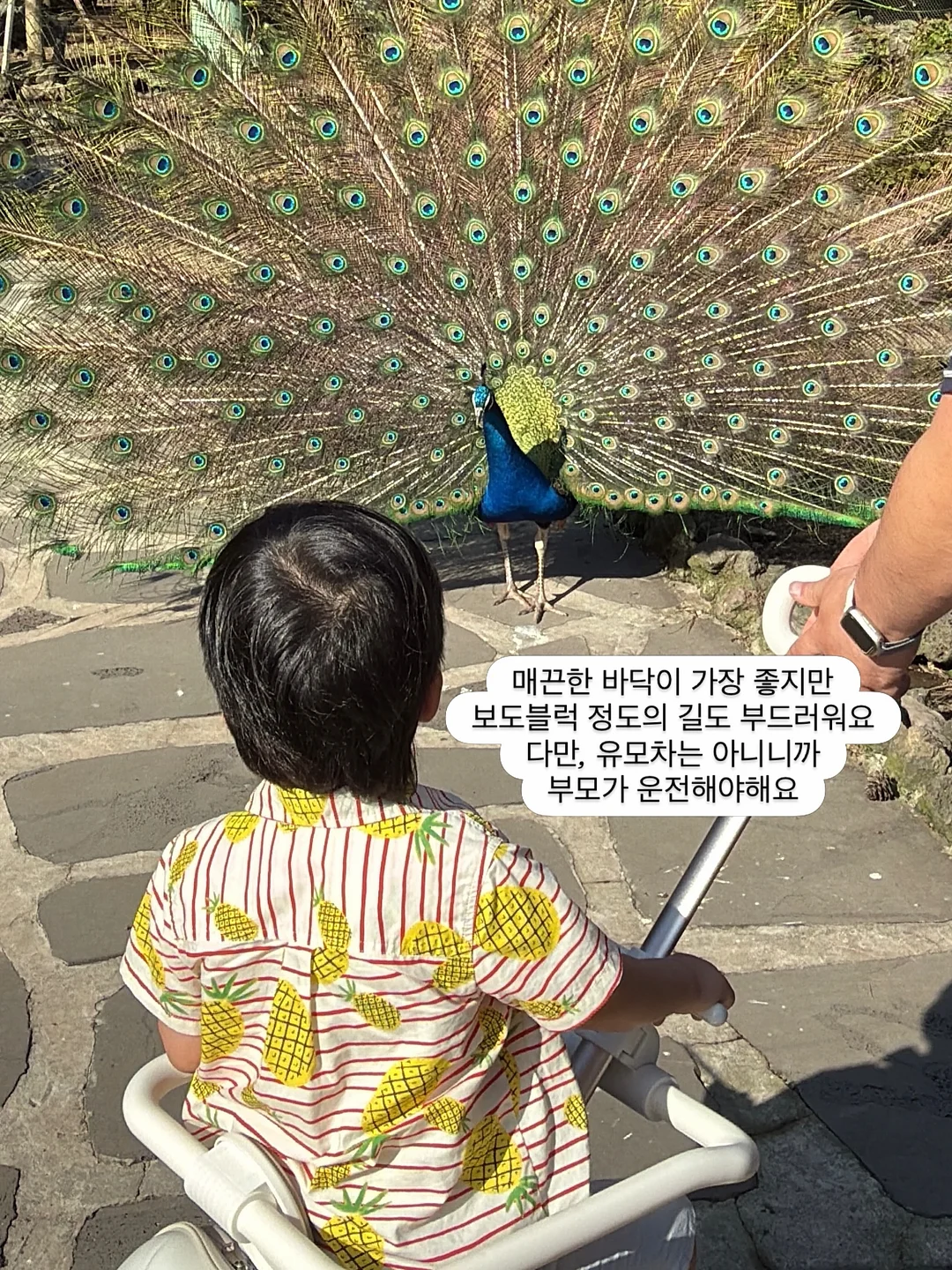 파데프리 베이지 크림 7