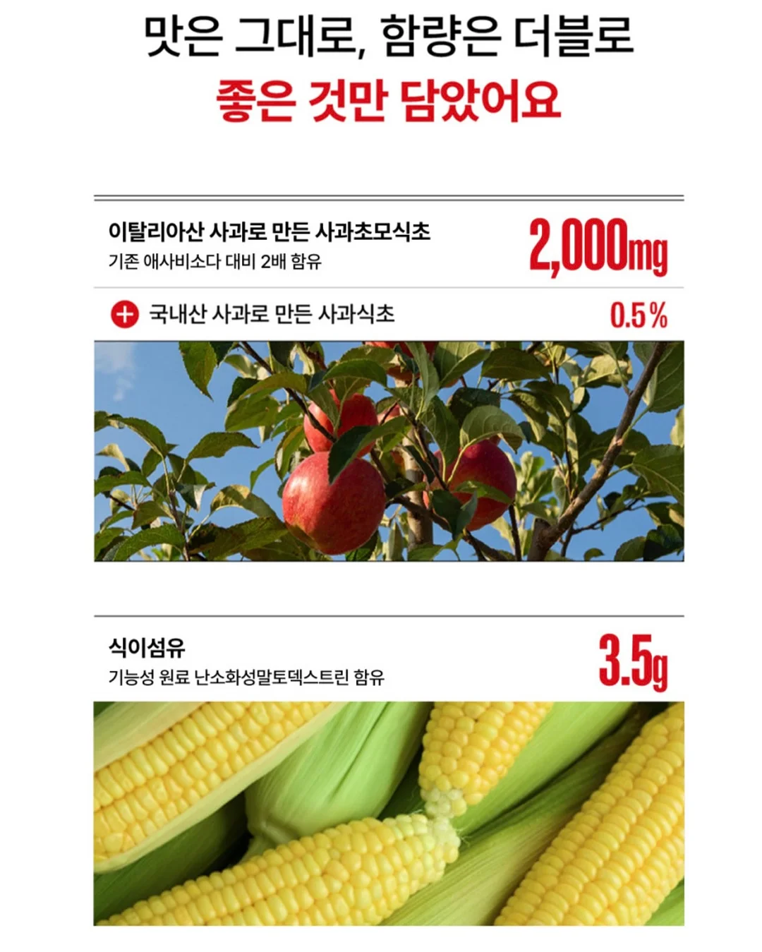 리베아르 비치타월 10