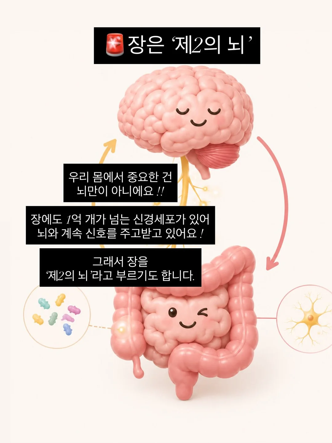 마리떼 할인 상품 2