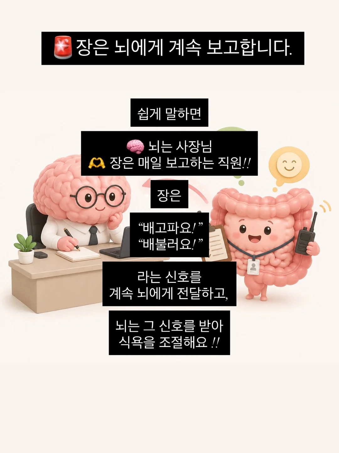 마리떼 할인 상품 3