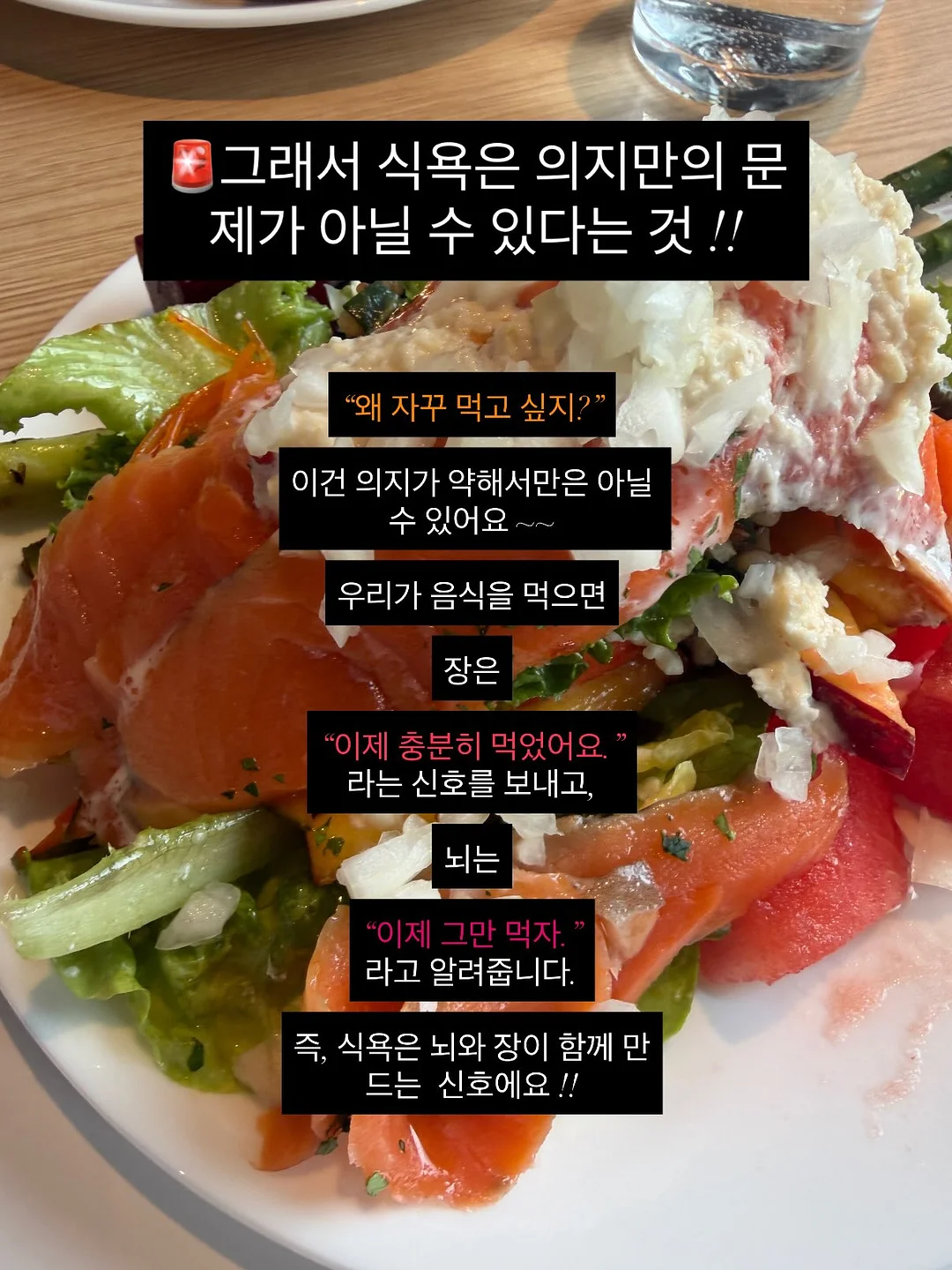 마리떼 할인 상품 4