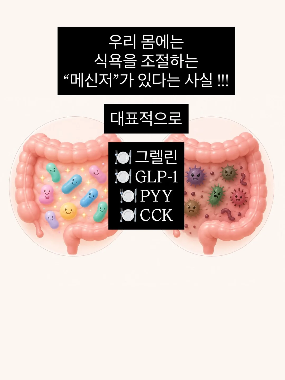 마리떼 할인 상품 5
