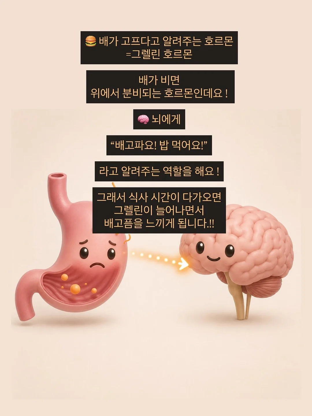 마리떼 할인 상품 6