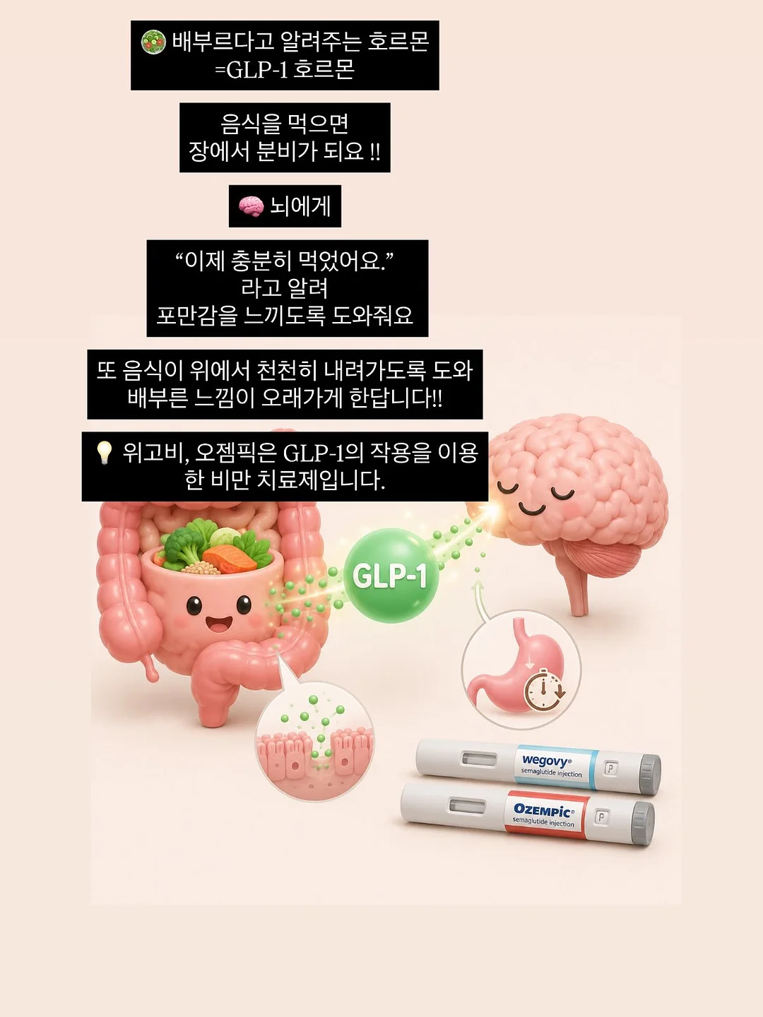 마리떼 할인 상품 7