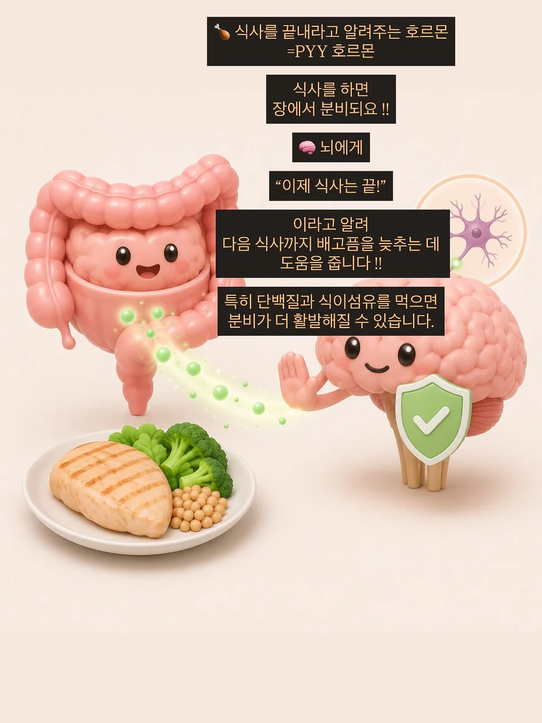 마리떼 할인 상품 8