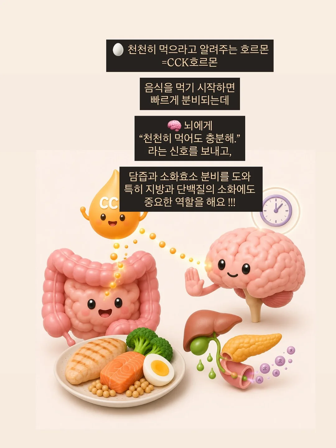 마리떼 할인 상품 9