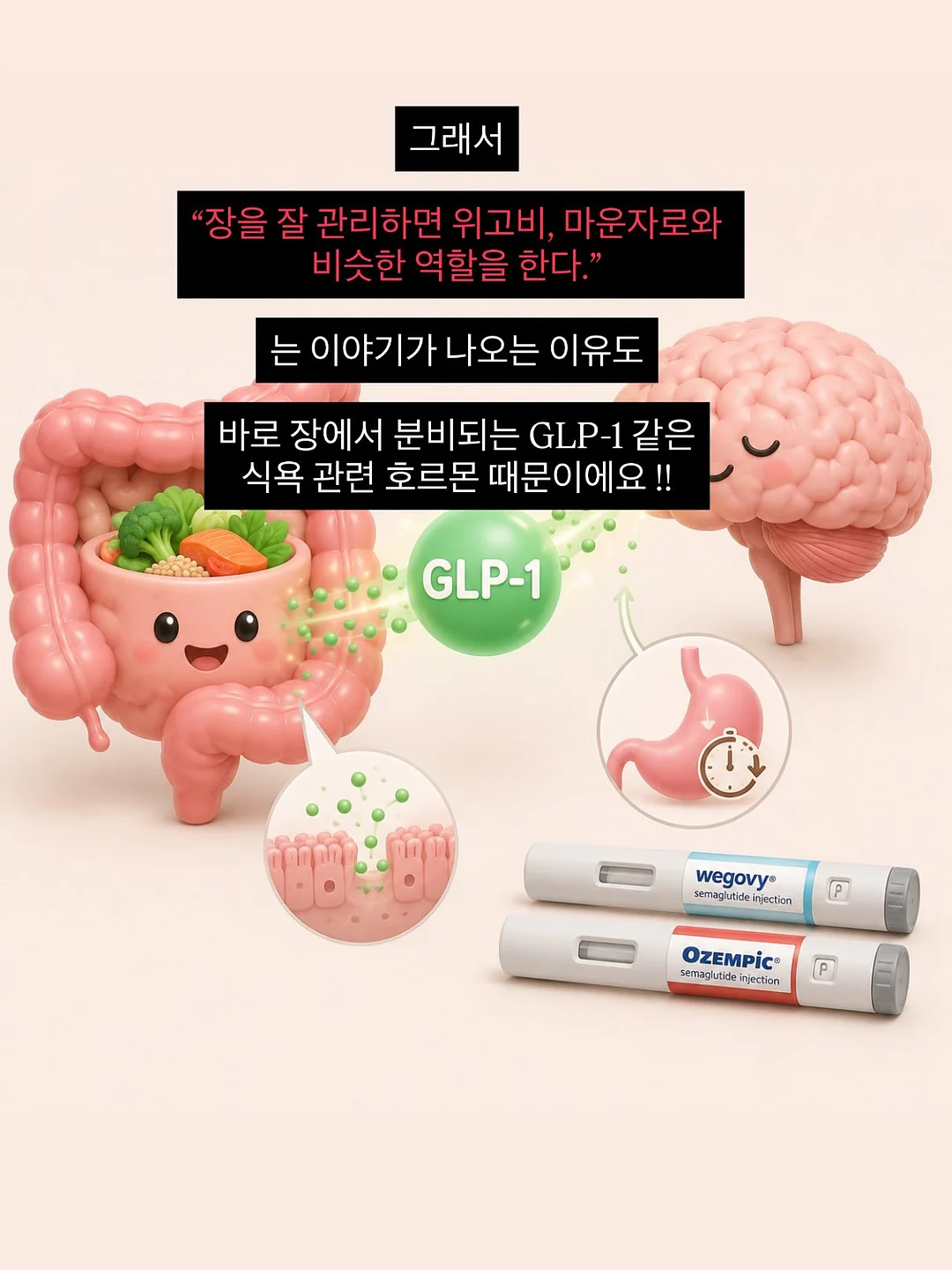 마리떼 할인 상품 10