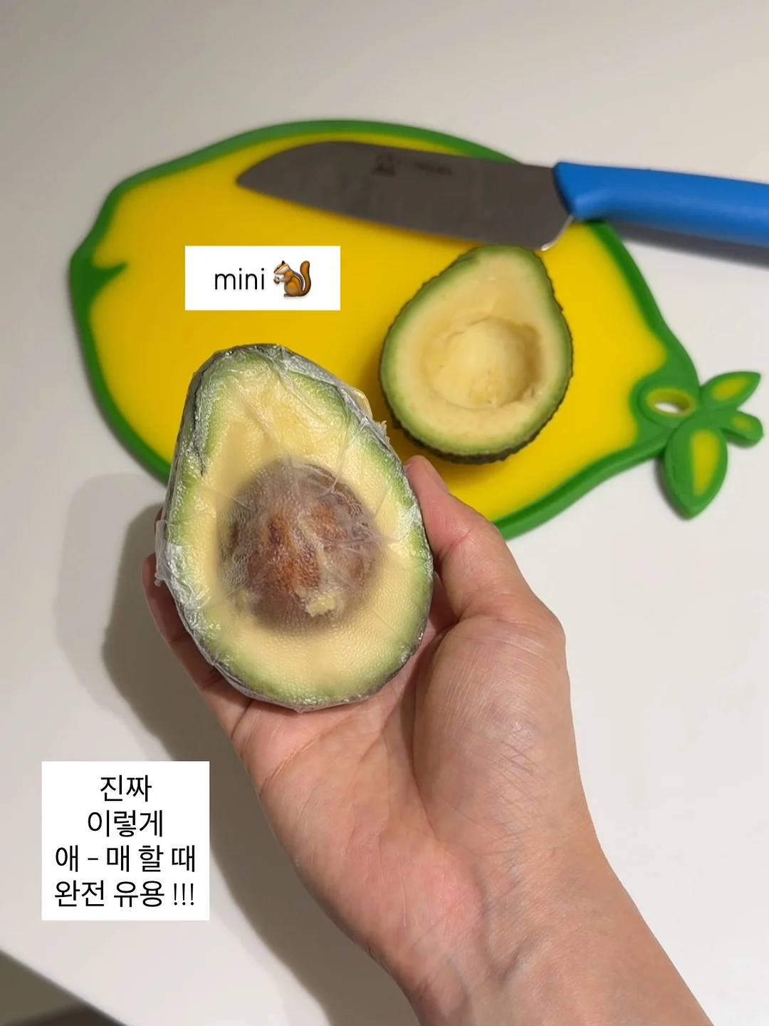 메디슨벨 샐러디컬 마시는샐러드 11
