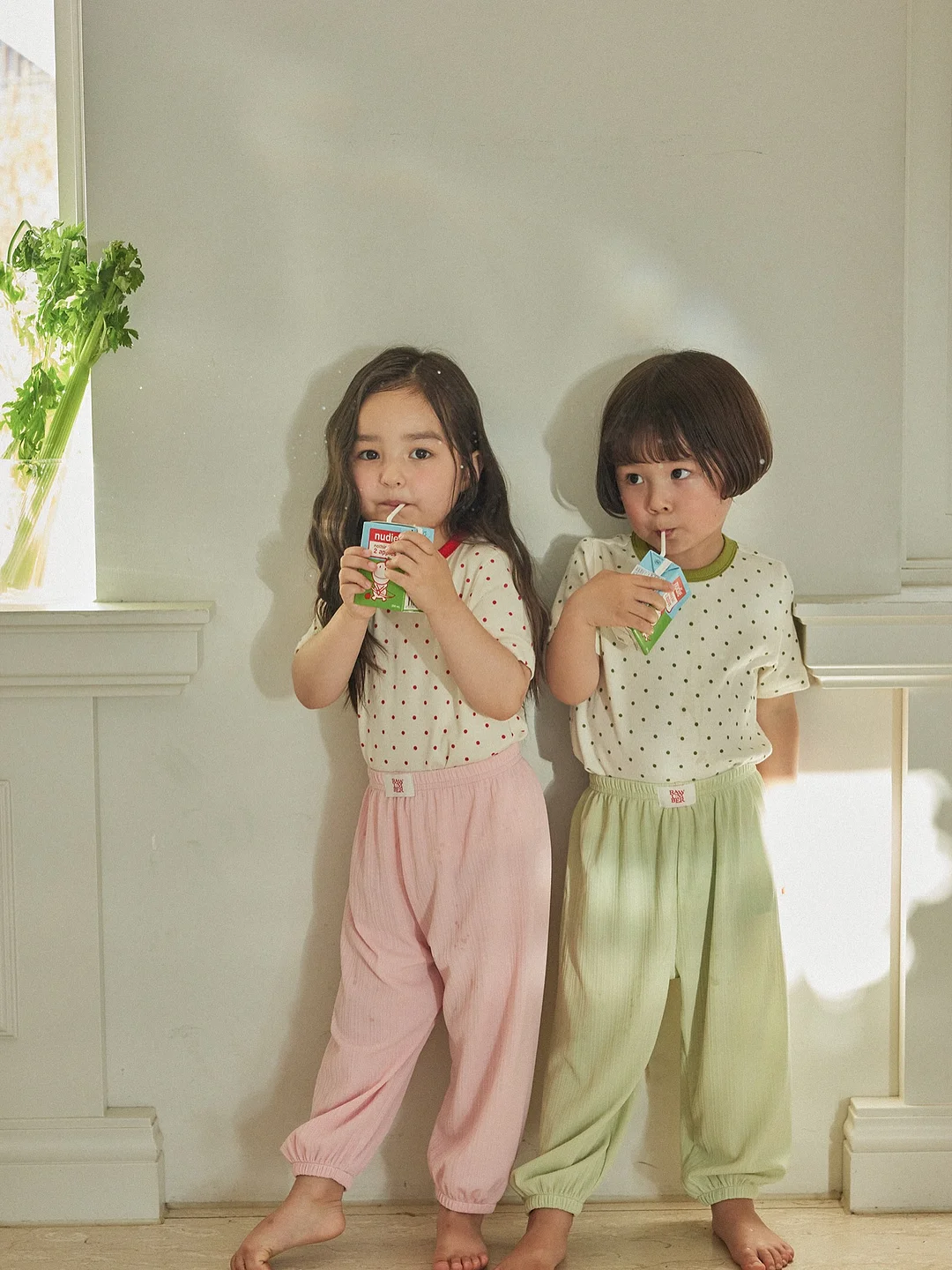아치애사비 4