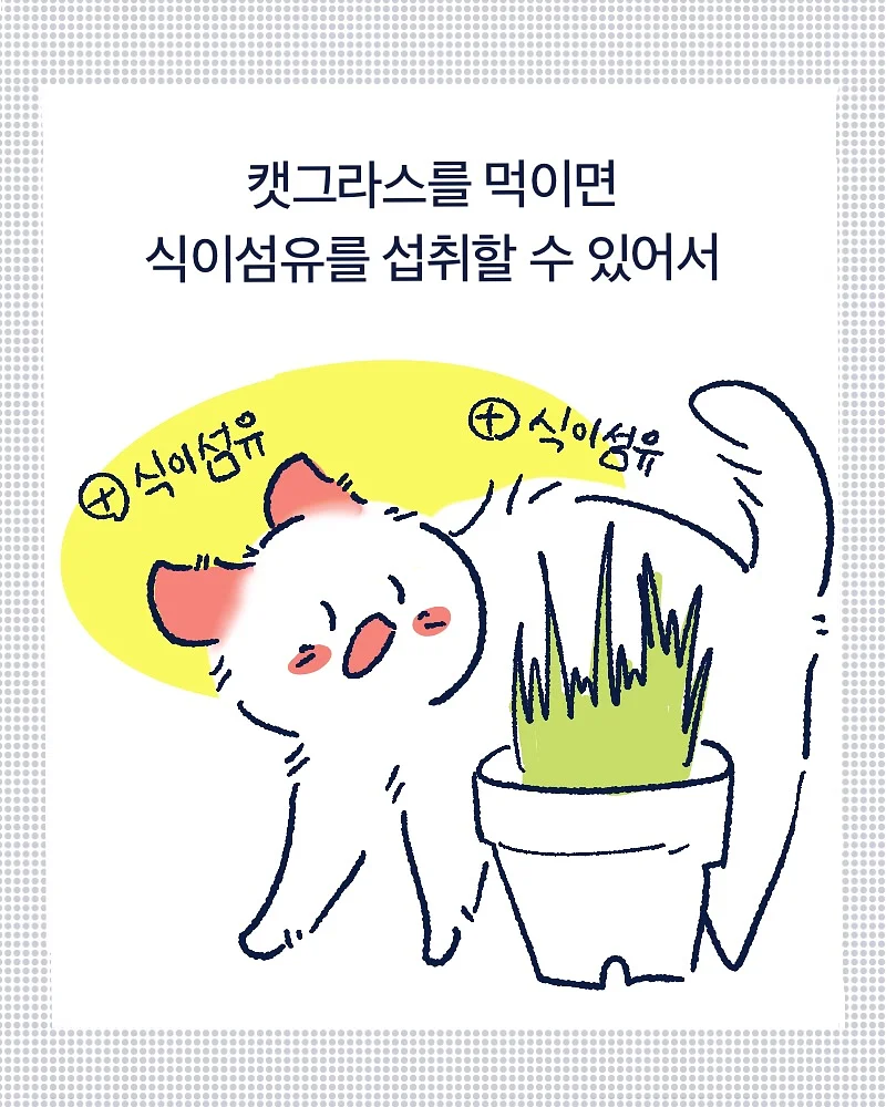 액체타일 바닥 시공 5